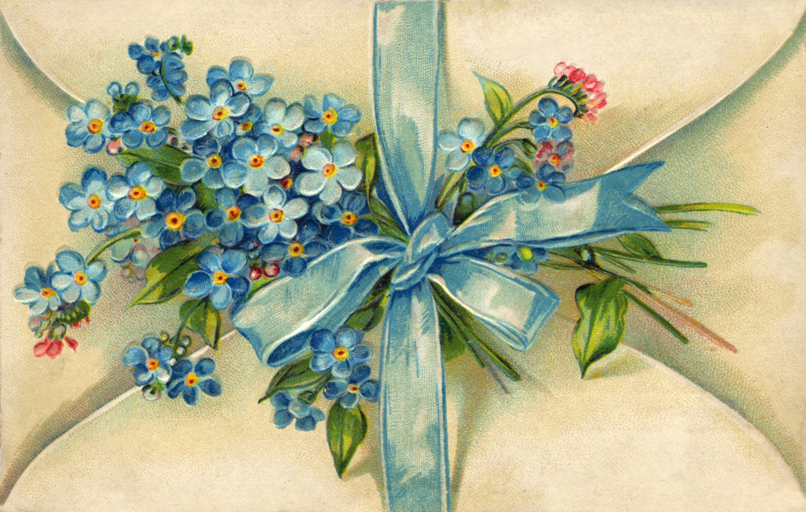 free clip art forget me not flowers - photo #32